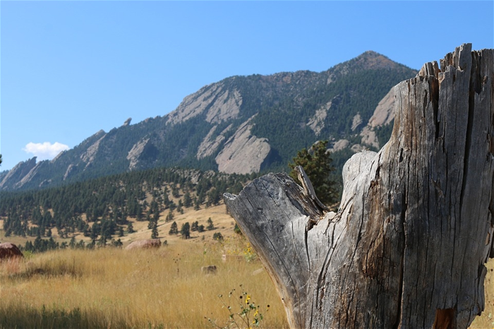 Boulder