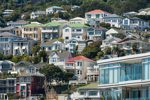 Houses of New Zeland