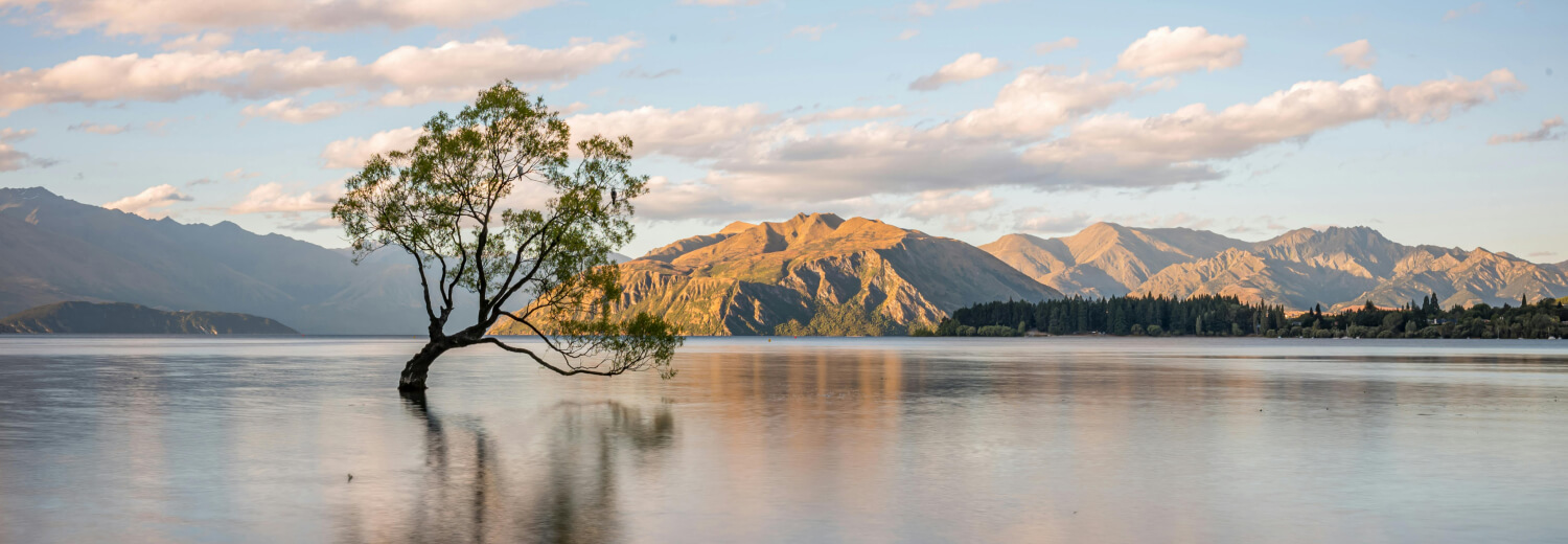 Moving from Auckland to Wanaka Featured Image