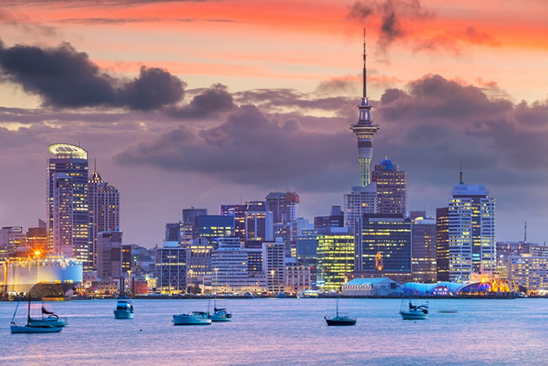 What to Expect When You Move to Auckland Featured Image