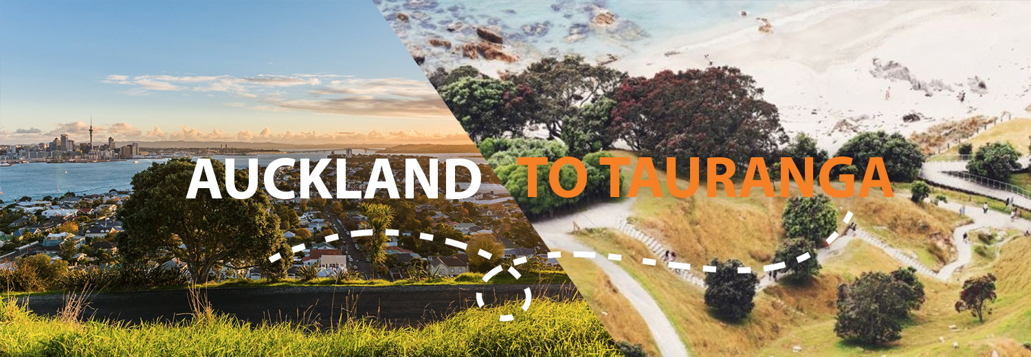 Moving from Auckland to Tauranga Featured Image