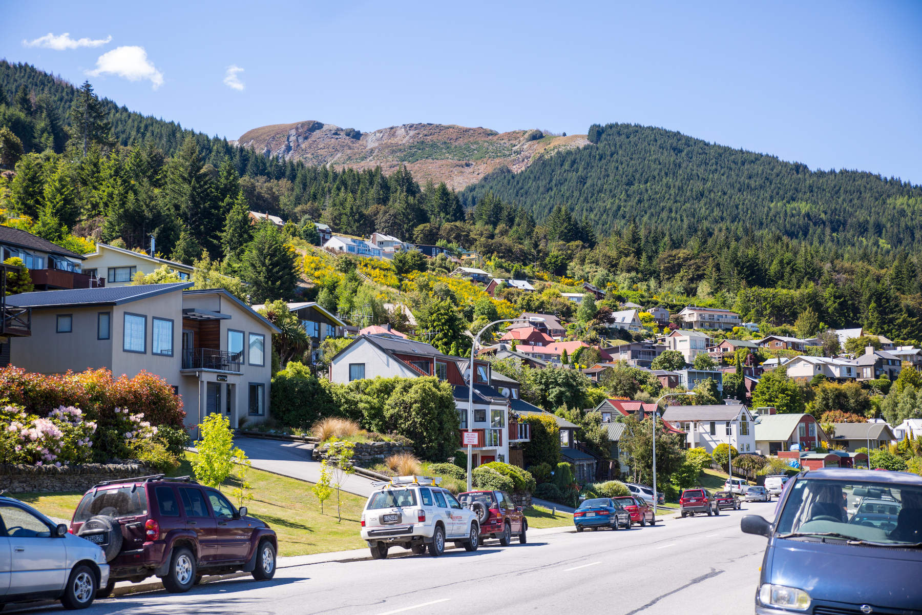 What To Know About Buying or Renting Property in New Zealand as an Expat Featured Image
