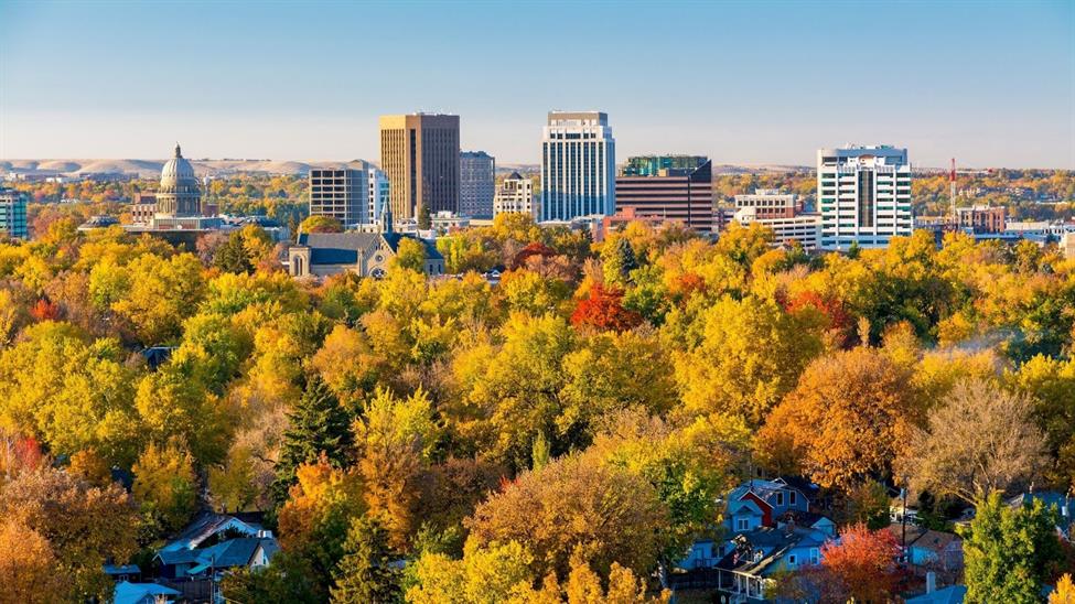 View of Boise, Idaho showing trees and city buildings