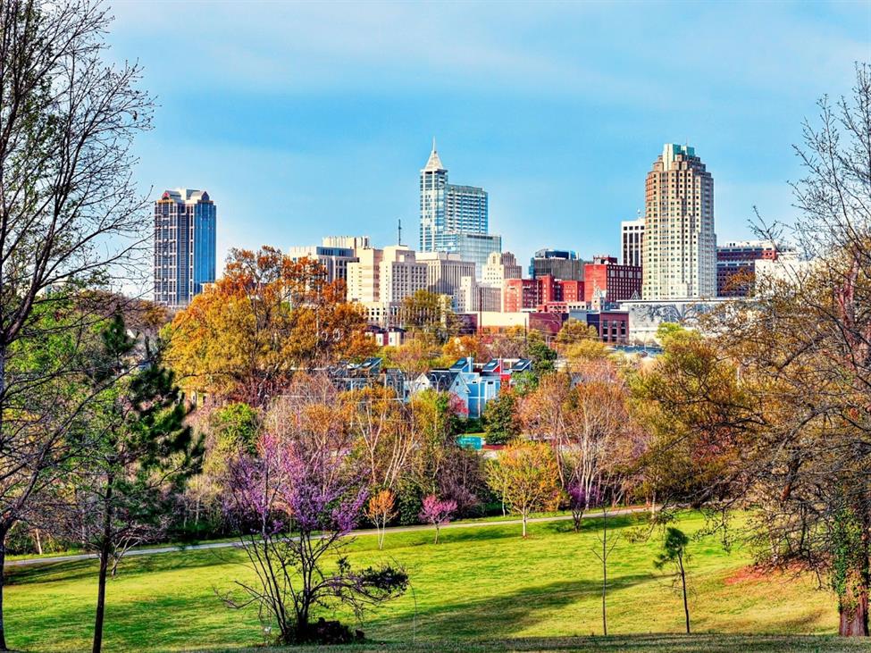 View of Raleigh, NC