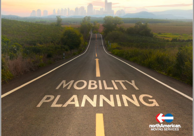 Supply Chain Strategies &amp; Mobility Planning Study