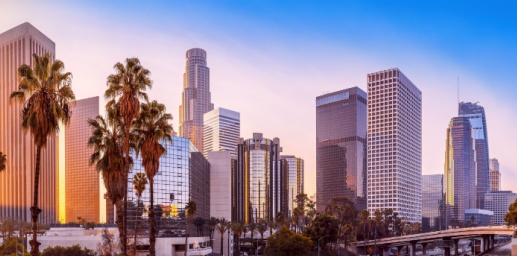 City Landscape of Los Angeles
