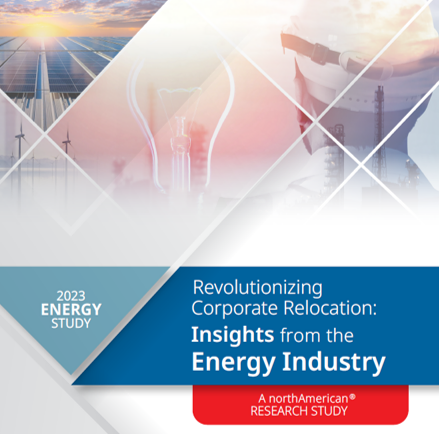 Energy Study Cover image 2