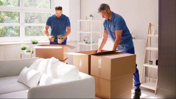 Men packing boxes for moving