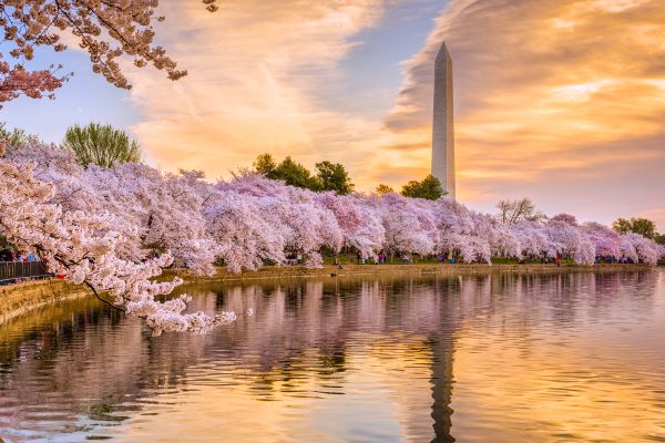 Moving to Washington DC? Here's What Living Here is LikeNorth American